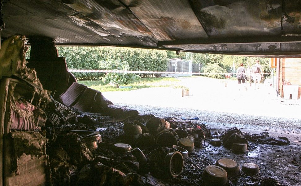 Incendio al canile Valbasca, sale a cinque il numero dei cani morti. Scatta la solidarietà