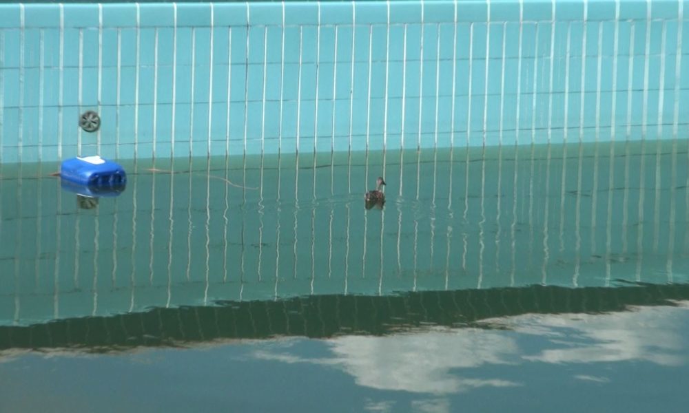 Danni ingenti al Lido di Villa Olmo. Obiettivo: riaprire a maggio ma il biglietto sarà più caro