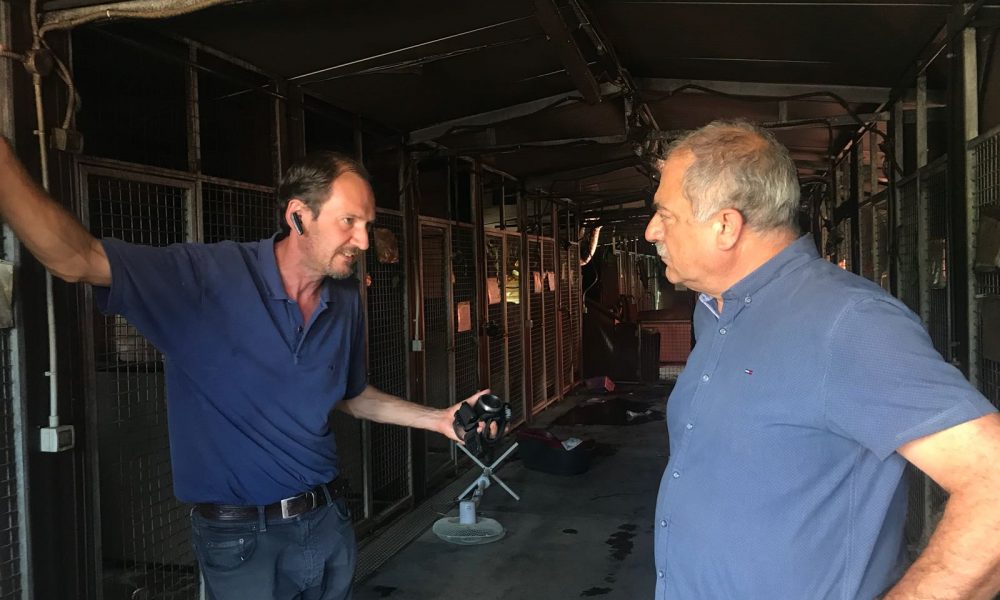 Valbasca, sopralluogo del sindaco di Como al canile bruciato. L’appello ai cittadini