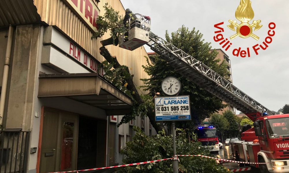 Pioggia e maltempo, vigili del fuoco al lavoro per un albero caduto a Como