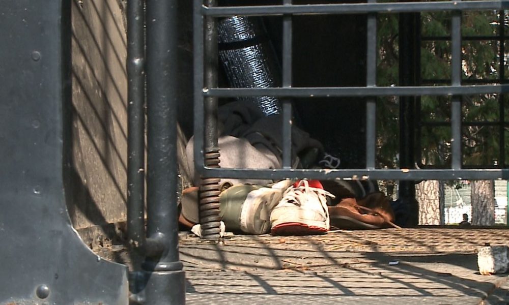 Progetto giardini a lago, lo sprint di Galli contro il degrado