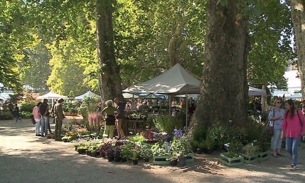 Orticolario 2018 a Villa Erba, la decima edizione chiude con 28mila visitatori