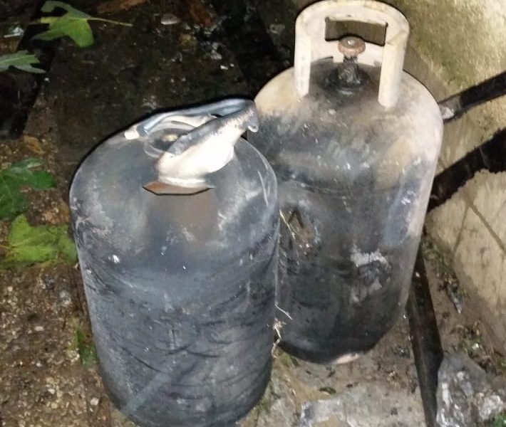 Rovello Porro, incendio in un allevamento di cani. In salvo una donna e sessanta cuccioli