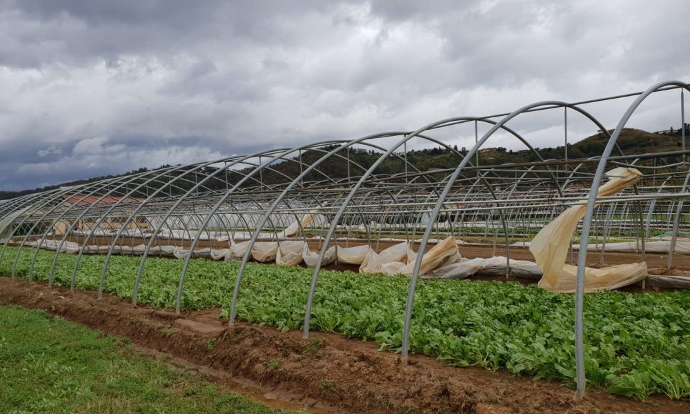 Clima pazzo, 2018 anno nero per l’agricoltura. La Coldiretti Como-Lecco: “Danni record nei campi”