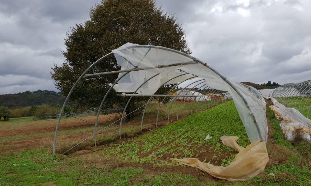 FOTOGALLERY – Maltempo, pesanti danni all’agricoltura tra Como e Lecco