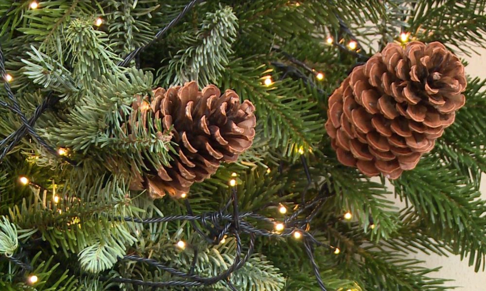 Alberi di Natale, Como seconda in Lombardia per numero di imprese