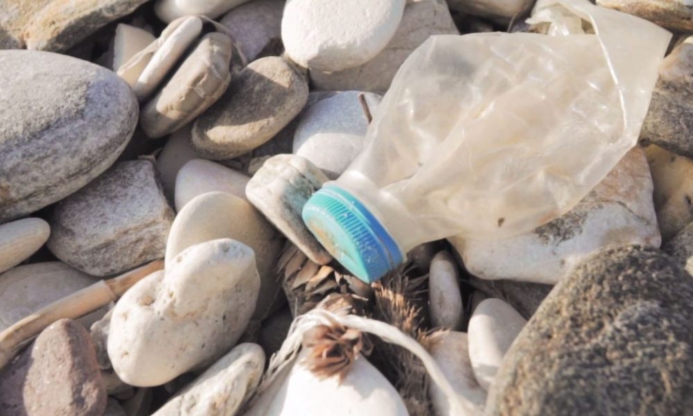 La mozione del M5S a Cantù punta a eliminare la plastica da tutti gli uffici comunali