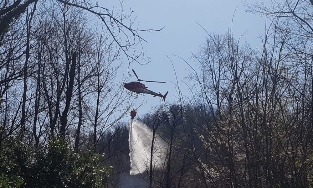 Fiamme sul monte Goj, in azione i vigili del fuoco