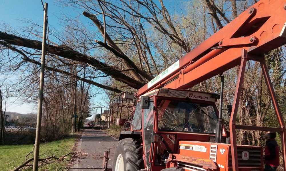 I danni del vento, prosegue la messa in sicurezza nel capoluogo