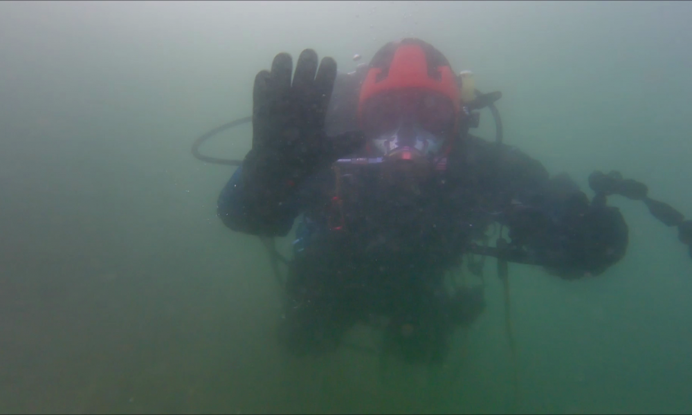 La vita nascosta del lago tra gambero alieno, persico reale e il fiorire di microalghe