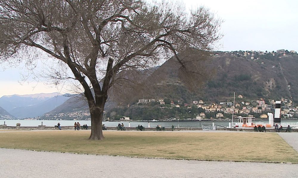 Parco di Villa Olmo, il prato è secco