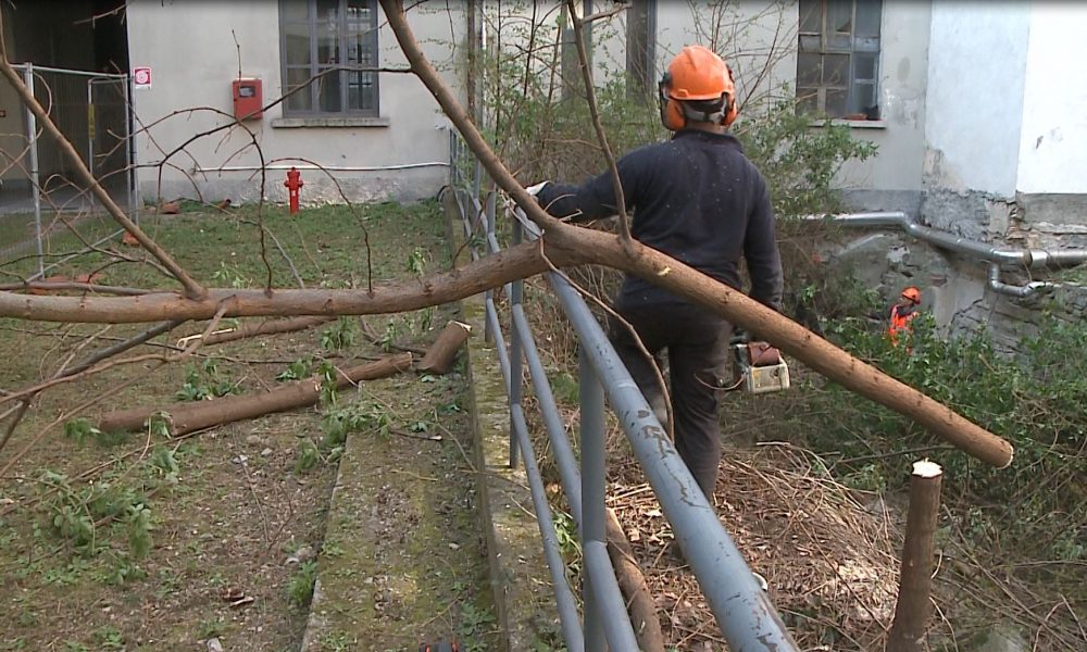 Liceo Volta di Como, dopo 15 anni parte la bonifica dell’area archeologica