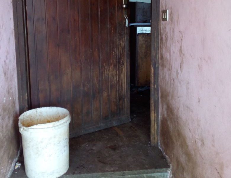 Animali maltrattati e carcasse di cani sepolte. Denunciato canturino