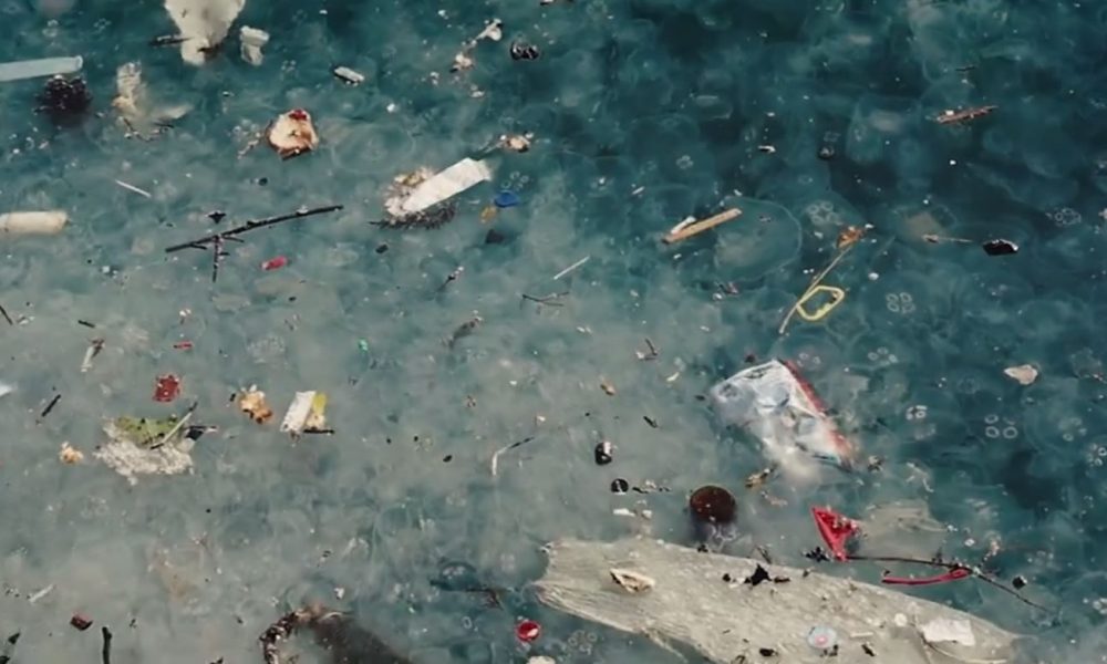 Inquinamento dei mari, premiato “il cestino mangia plastica” dell’azienda comasca Life Gate