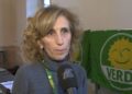 elisabetta patelli