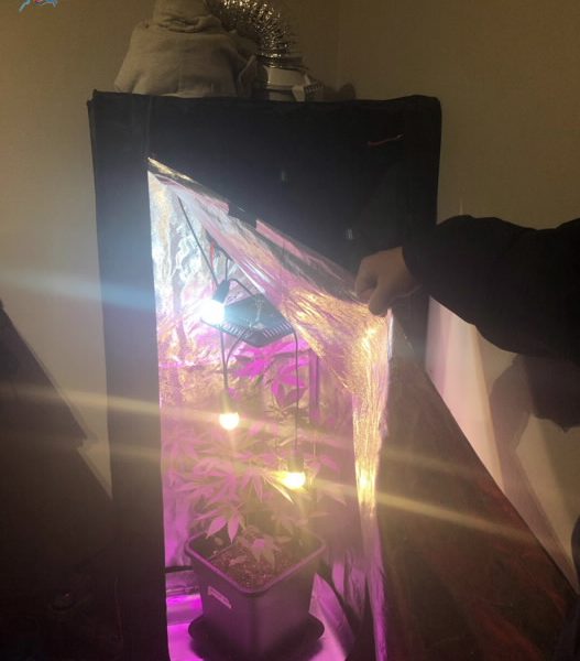 Spaccio di droga, un giovane arrestato e due denunciati a Cantù