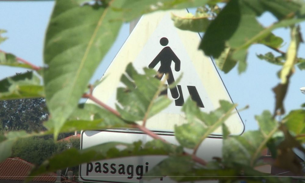 Da Lipomo ad Alzate, l’erba alta copre la segnaletica. Bongiasca: “Poche risorse e ritardi negli appalti”