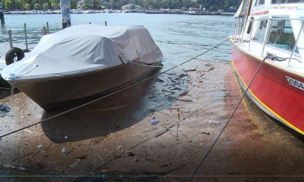 Lago sporco, detriti e rifiuti arrivano a riva