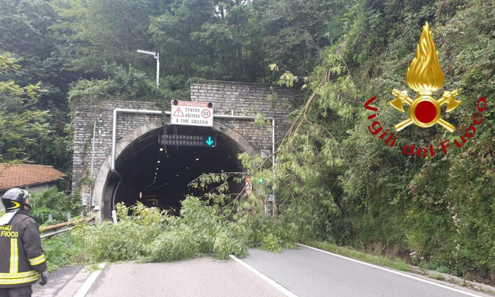 Cremia, rami sulla statale Regina, intervento dei vigili del fuoco