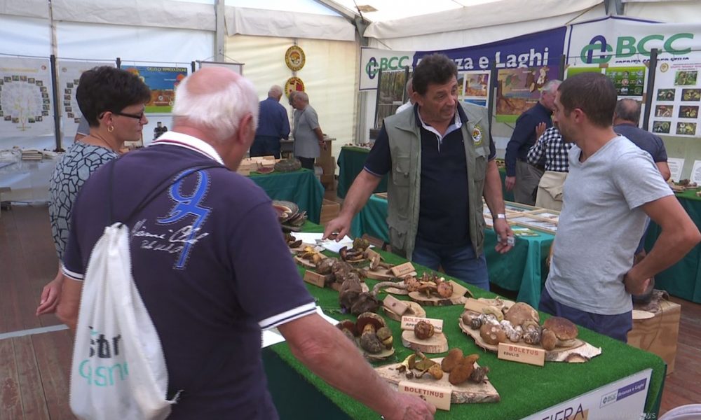 Alzate Brianza, fino a lunedì la tradizionale Fiera secolare