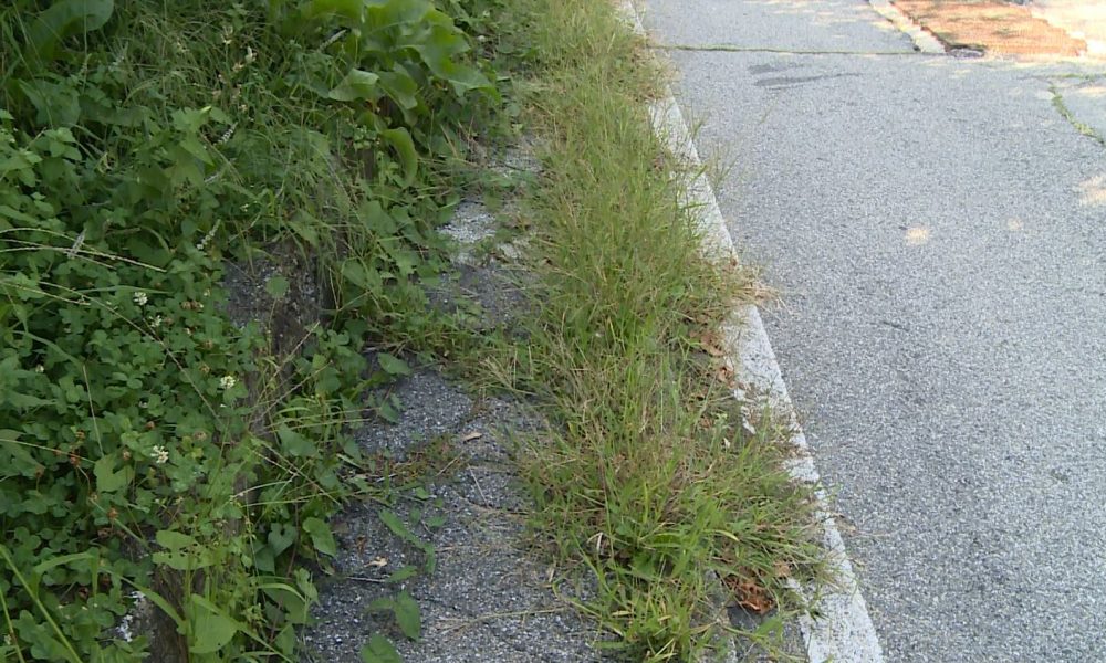 Como, erba incolta e marciapiedi impraticabili in Salita dei Cappuccini