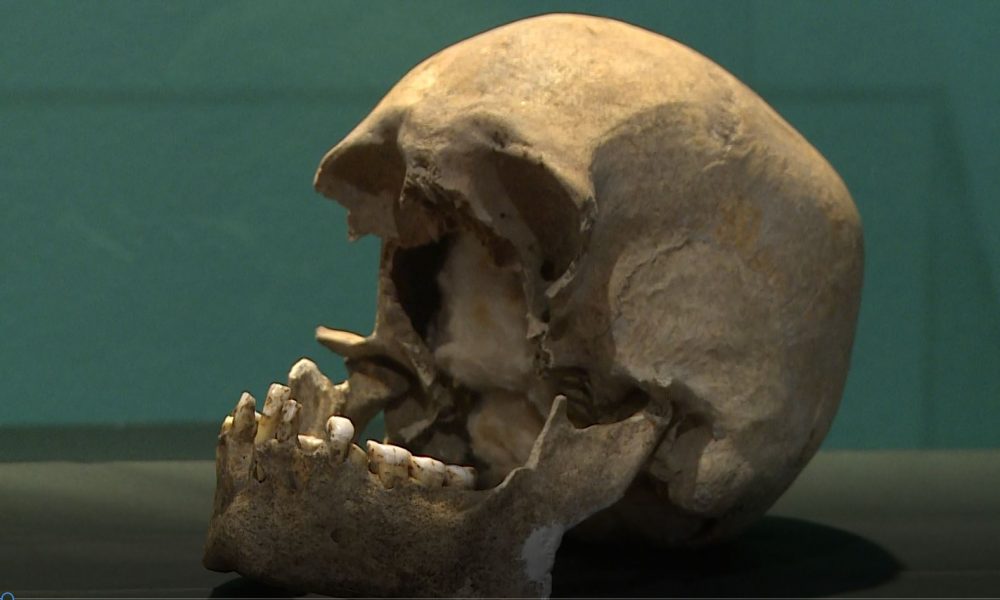 “I volti di Plinio”, domani aprirà la mostra al Broletto