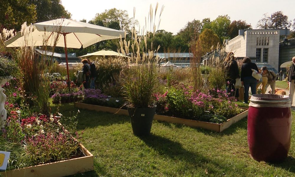 Il viaggio di Orticolario: Fantasmagoria da oggi a domenica a Villa Erba