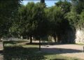 Ampliamento dell’area cani di viale Varese