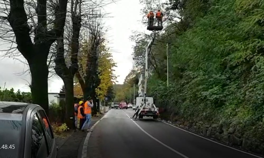 Taglio di piante in via Per San Fermo, strada chiusa temporaneamente per un albero pericolante