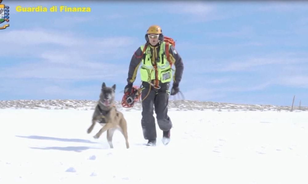 Guardia di finanza, concorso per 33 allievi che faranno parte del Soccorso Alpino delle fiamme gialle