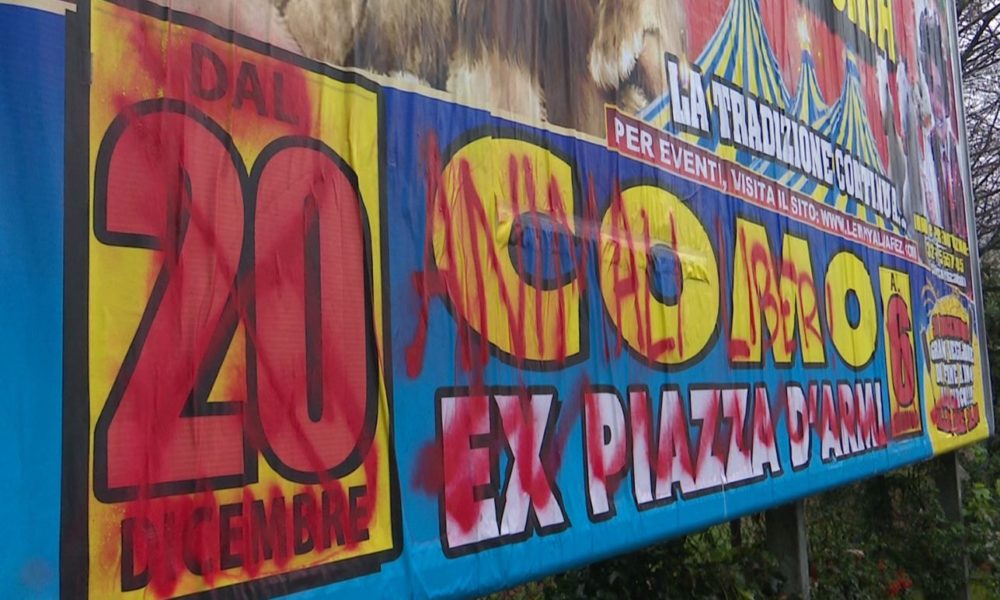 Blitz animalista a Como, cartelloni del circo imbrattati