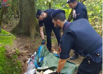 Controlli antidroga nelle aree boschive