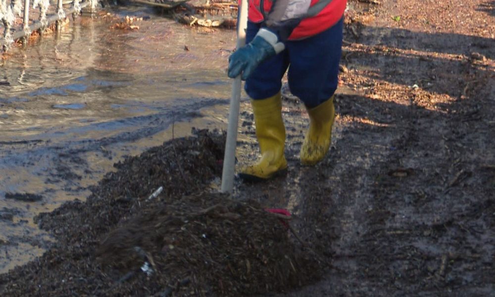 In calo i livelli del lago. Al via le operazioni di pulizia dai detriti