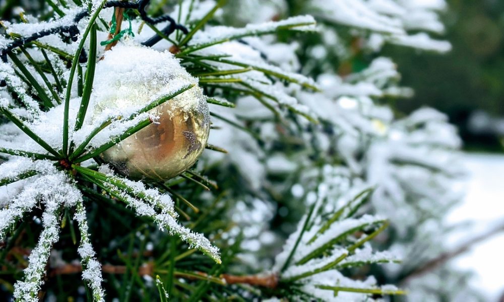 Como, previsioni confermate: nella notte è arrivata la neve