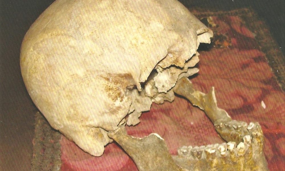 Il cranio misterioso sarebbe di Plinio Il Vecchio: presentati i risultati di una ricerca durata due anni