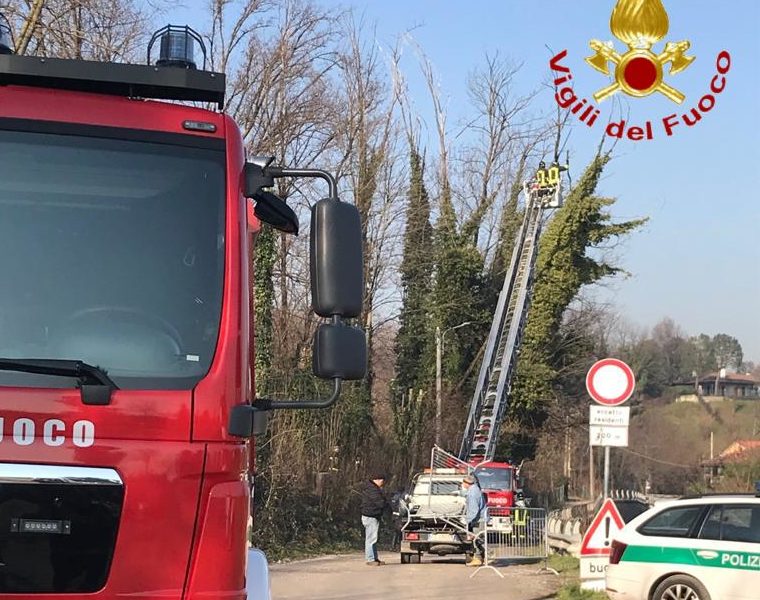 Mariano Comense, albero pericolante, intervento dei vigili del fuoco