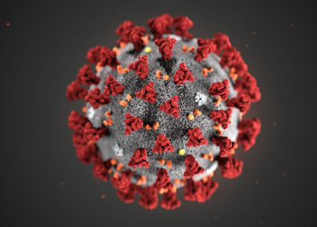 molecola coronavirus