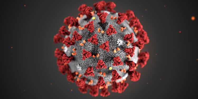 long covid Coronavirus