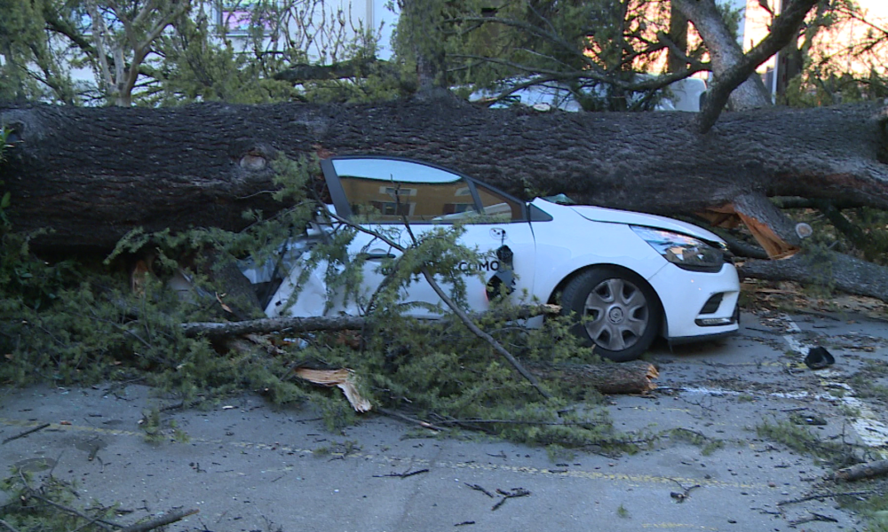 Vento e danni in città, il bilancio della giornata di ieri: 170 interventi dei vigili del fuoco