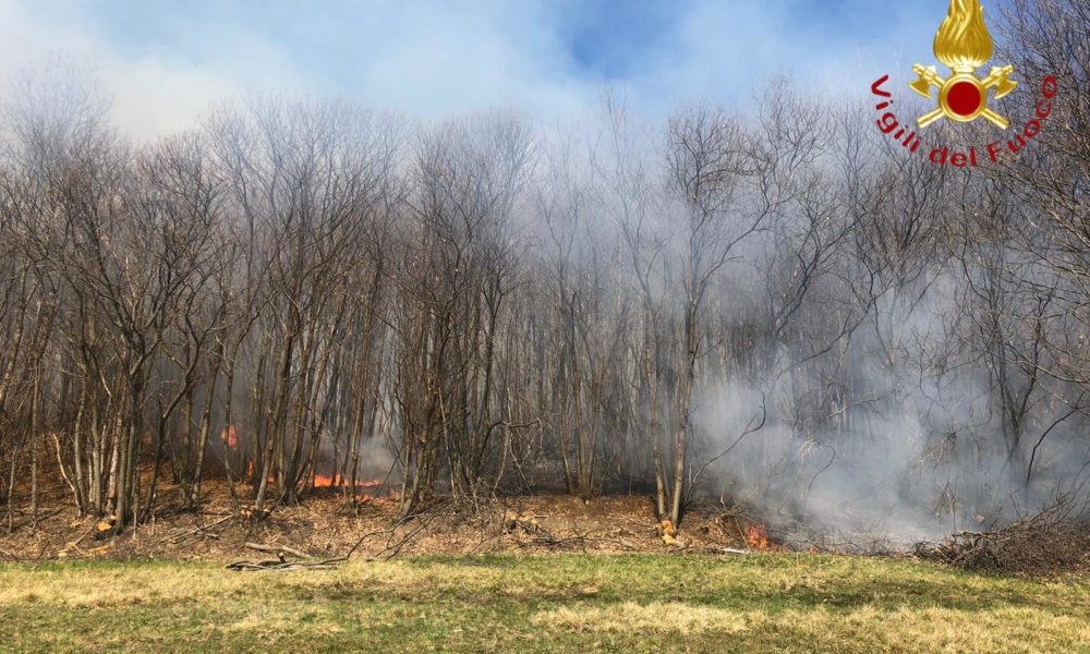 Bizzarone, bosco in fiamme, al lavoro i vigili del fuoco con l’aiuto dell’elicottero