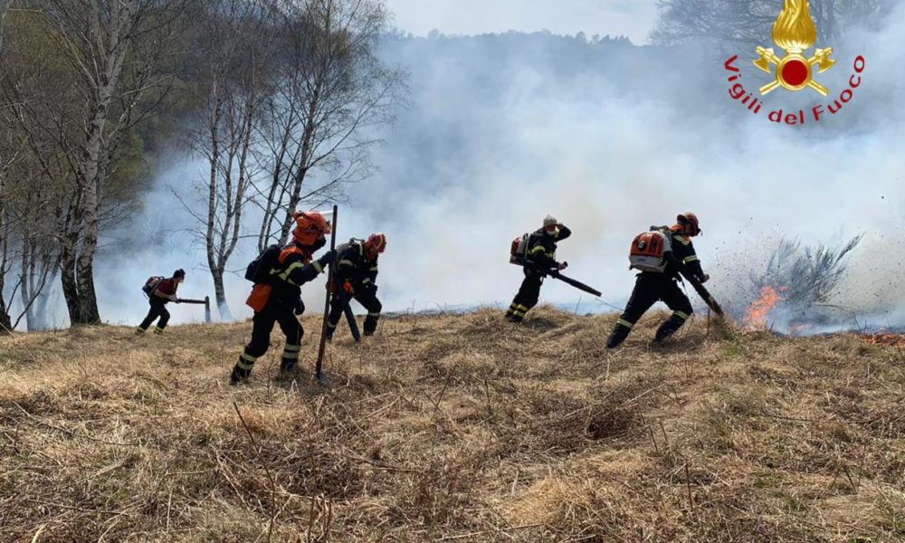 Livo, boschi in fiamme, distrutti otto ettari