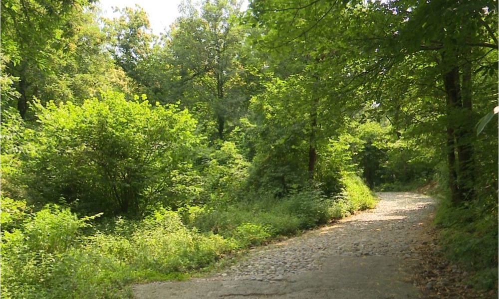 Tornano le escursioni gratuite con le guide della Lombardia: 5 appuntamenti in provincia di Como