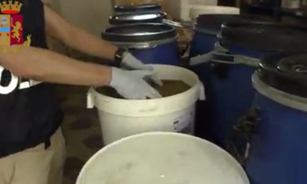 Fenegrò, quintali di droga nell’azienda di cannabis light, quattro arresti