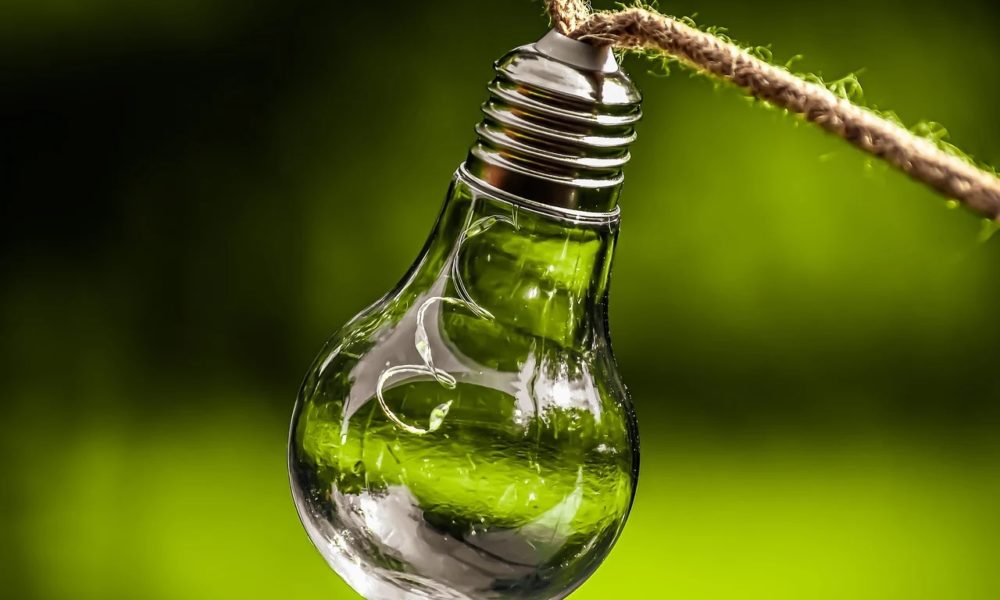 “Green è conveniente”, il passo di Enerxenia (luce e gas) verso la sostenibilità