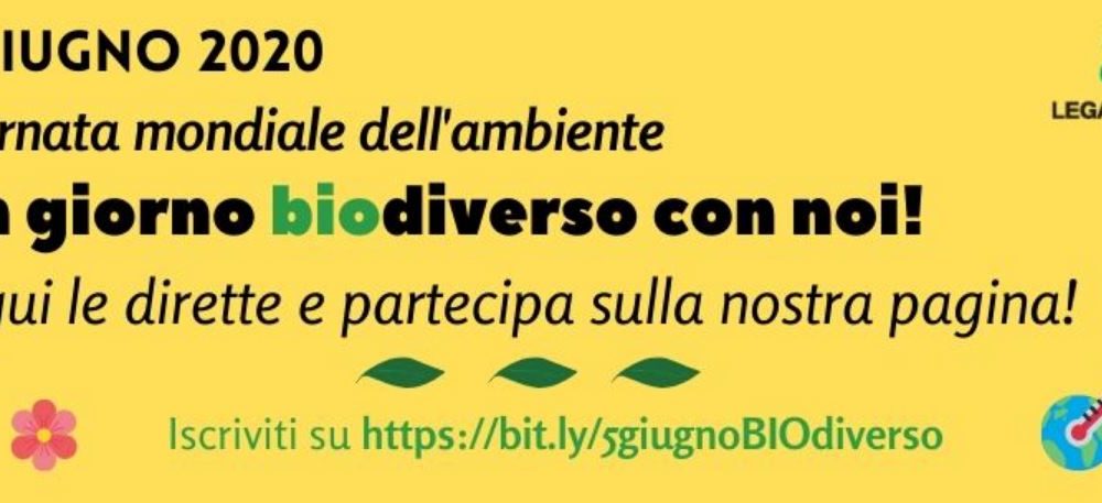 Giornata Mondiale dell’Ambiente, il 5 giugno si celebra la biodiversità