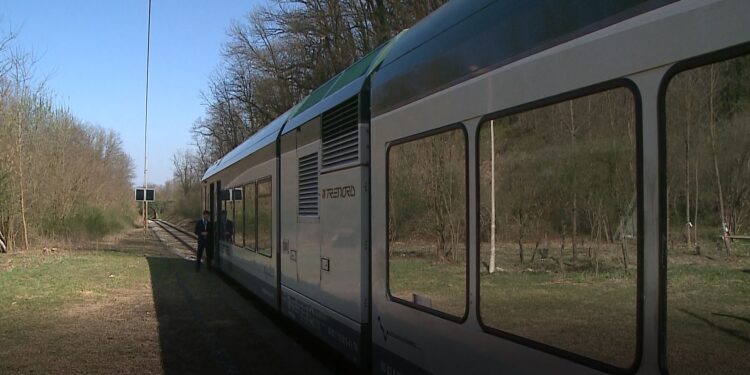 Un treno della linea Como-Lecco