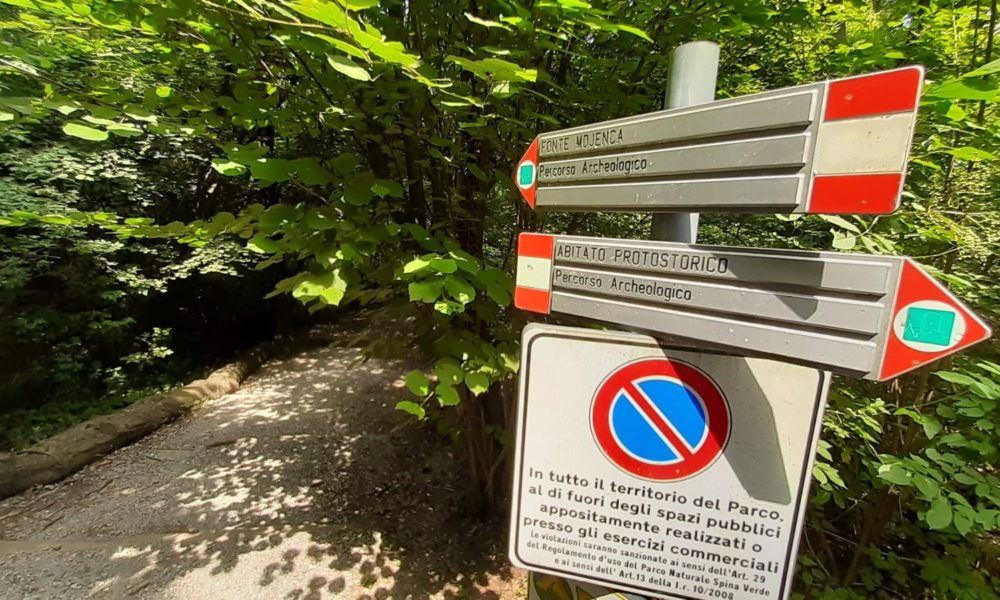 Spina Verde: il parco guarda al futuro. Raddoppio della superficie e il sogno del ponte tibetano