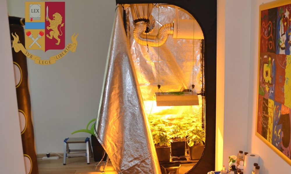 Serra per la marijuana in casa, denunciato 50enne di Como