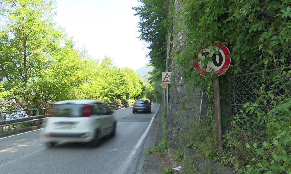 Dal capoluogo alle strade provinciali, la vegetazione selvaggia invade i marciapiedi e copre la segnaletica