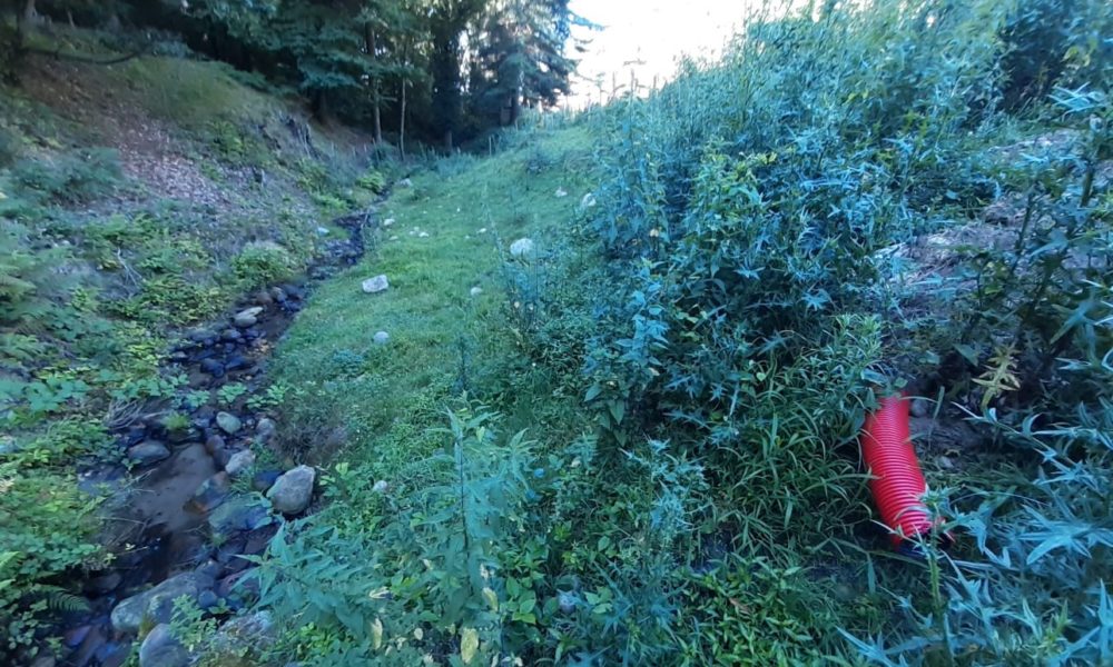 Parco regionale Spina Verde, scoperto dai Forestali uno scarico abusivo a Parè